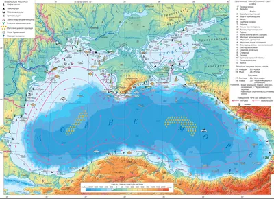 Моря и Океаны: Черное и Азовское моря