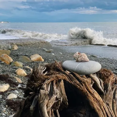 Особенности Черного моря