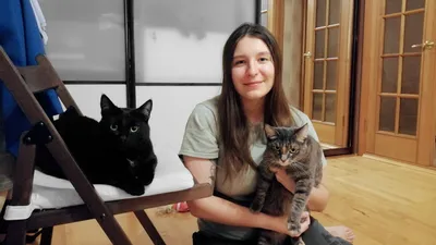 Котята чёрные пушистые котенок чёрный кот кошка — купить в Красноярске.  Кошки, котята на интернет-аукционе 
