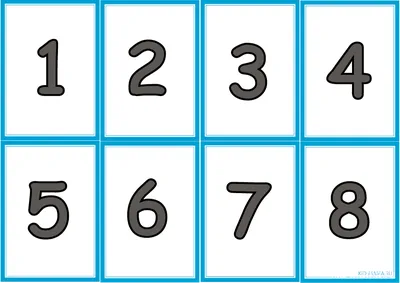 Что такое действительные, натуральные, рациональные и прочие числа. Какие  бывают числа? | Блог на Mathema