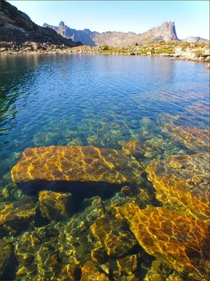 Dostavka Water | Доставка воды CLEARWATER