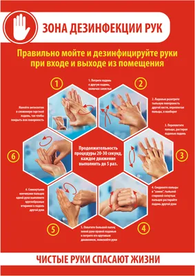 Чистые руки - залог здоровья | Консультация: | Образовательная социальная  сеть