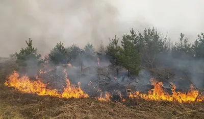 В Артемовском районе действует режим ЧС