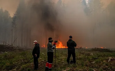 В Якутии ввели режим ЧС из-за распространения лесных пожаров на села — РБК