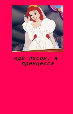 Обои чсв