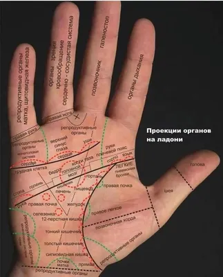 Как определить жизненное предназначение по руке – Нарвская газета "Город"