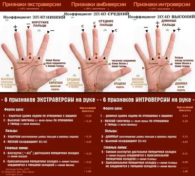 Как гадать по руке: что линии на ладони могут рассказать о вашей судьбе