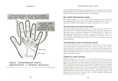 Модель для акупунктуры кисть руки 13см - купить с доставкой по выгодным  ценам в интернет-магазине OZON (516067702)