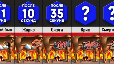 Здесь вам не изба-читальня: врач объяснила, как долго можно сидеть в  туалете | DOCTORPITER