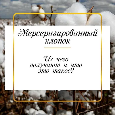 Из чего получают пряжу хлопок — Татьяна Сундырская на 