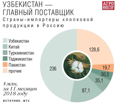 Что такое хлопок – из чего получается и чем хорош