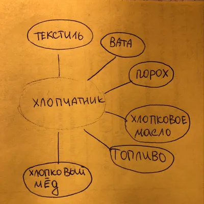 Что получают из хлопчатника?составь кластер - Школьные Знания.com