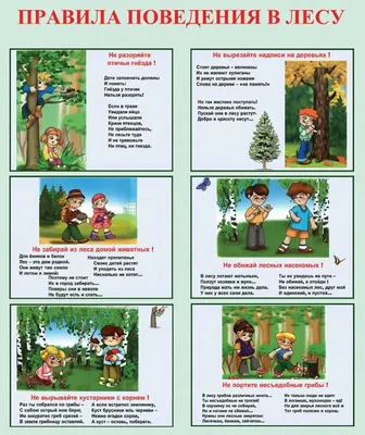 Занятие 7. Безопасный отдых. В лесу — Детская Школа Искусств №6