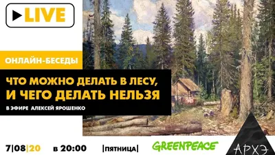 Что нельзя делать в лесу. Запрещающие знаки по экологии — скачать и  распечатать. Правила поведения — Экология. «МААМ—картинки». Воспитателям  детских садов, школьным учителям и педагогам - Маам.ру