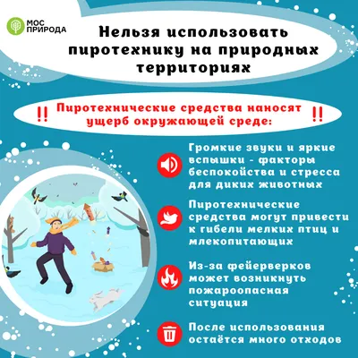 Что делать при встрече с тюленем на побережье?