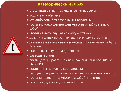  – какой праздник сегодня в Украине и что нельзя