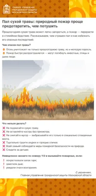 Жителям Серпухова напоминают о необходимости соблюдения правил пожарной  безопасности - МК Серпухов