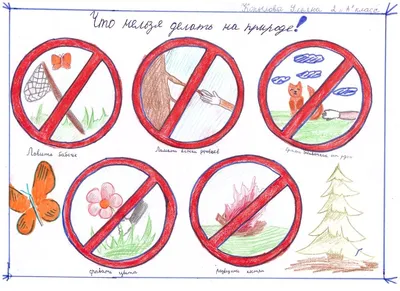 Что нельзя делать в лесу, чтобы не потеряться: советы нижегородцам
