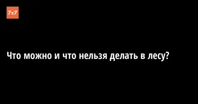 Что Нельзя Делать в Лесу – купить в интернет-магазине OZON по низкой цене