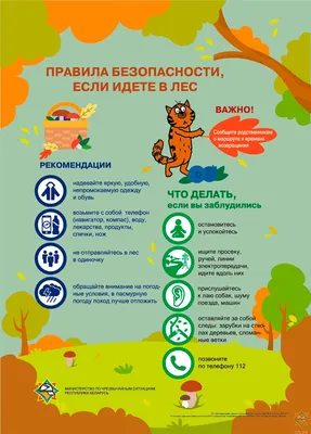 Правила поведения при пожаре в лесу – Белорусский национальный технический  университет (БНТУ/BNTU)