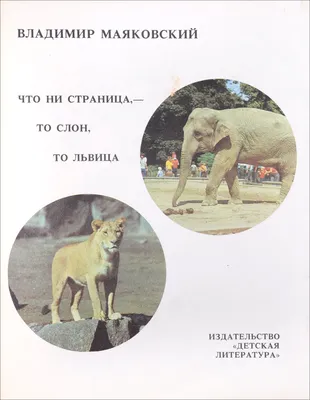 Что ни страница – то слон, то львица» в технике песочного рисования |  Библиотеки Архангельска