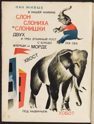 Что ни страница- то слон, то львица Арт-Волхонка 8713304 купить в  интернет-магазине Wildberries