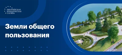 Что общего у русской народной сказки, презентации Джобса и выступления на  TED?