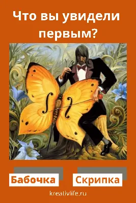 10 психологических тестов по картинкам.:"Что вы увидели первым?" — Рояль в  кустах (Mи Lа) — NewsLand