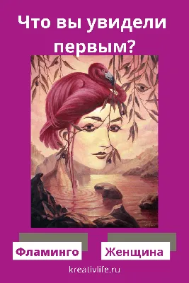 10 психологических тестов по картинкам.:"Что вы увидели первым?" — Рояль в  кустах (Mи Lа) — NewsLand