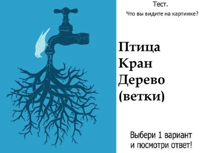 По тому, какое животное вы заметили первым, можно многое о вас рассказать /  AdMe