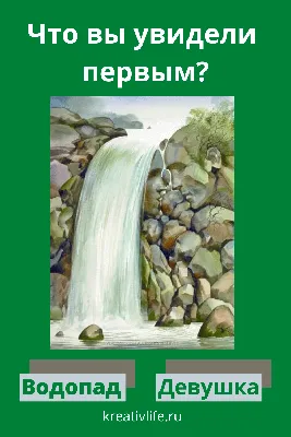 Тесты по картинкам: что вы увидели первым фламинго или девушка |  Психология, Ребусы, Психология развития