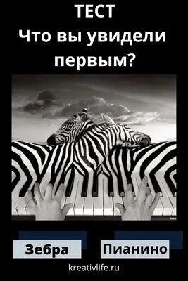 10 психологических тестов по картинкам.:"Что вы увидели первым?" — Рояль в  кустах (Mи Lа) — NewsLand