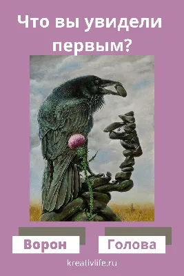 10 психологических тестов по картинкам.:"Что вы увидели первым?" — Рояль в  кустах (Mи Lа) — NewsLand