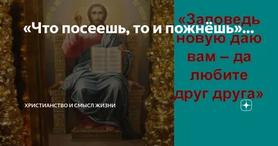 Что посеешь, то и пожнешь» — создано в Шедевруме