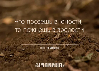 Что посеешь, то и пожнешь - Сборник - купить и читать онлайн электронную  книгу на Wildberries Цифровой | 154490