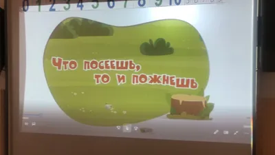 Что посеешь, то и пожнешь?