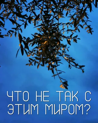 Blog | Что такое одышка (диспноэ)? Почему это происходит? Как это лечится?