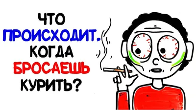 Книга игра, БУКВА-ЛЕНД "Что происходит в темноте?", 24 страницы,  развивающая, книжка с фонариком, для детей - купить с доставкой по выгодным  ценам в интернет-магазине OZON (355254316)