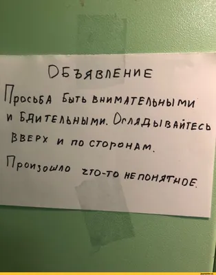 Все в нашей жизни происходит не случайно: философы объясняют причины | Lady  Wordyou | Дзен