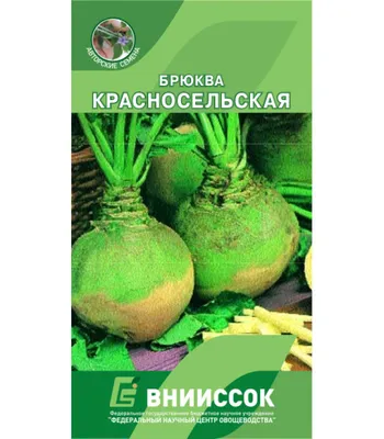 Брюква Красносельская (ЦВ) 0,5гр. купить с доставкой почтой по РФ, СДЭК  курьер, ПВЗ, цены и фото