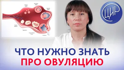 Ovulation/HCG test Тесты на овуляцию и беременность набор 10+10 шт