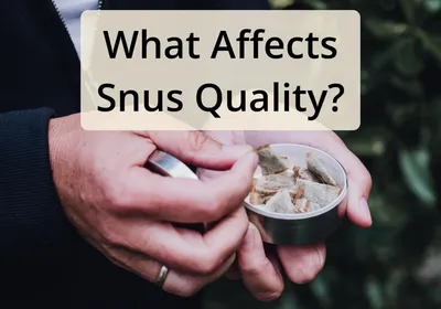 Snus - Wikipedia