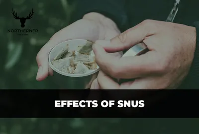 A Guide to Swedish Snus | Nicokick