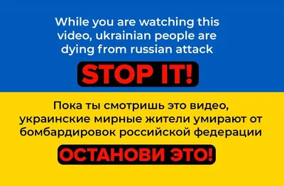 Носки женские с принтом Если ты видишь эту надпись, принеси мне бокал  вина/прикольные Восторг в подарок 28096991 купить в интернет-магазине  Wildberries