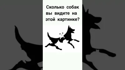 Загадка: Сколько людей вы видите на этой картинке? Вы уверены в своем  ответе ? - Ok'ейно.cc