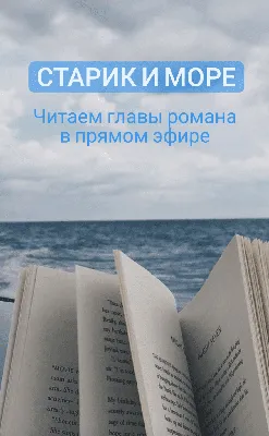 Сторис в цель: как зацепить человека за пару секунд? - РАДА