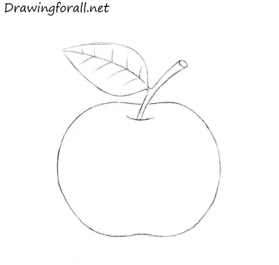 Как нарисовать яблоко для начинающих | 