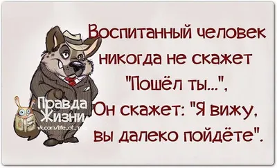 Olga_Koryakina_nvrs - Оскорбить человека - это не только унизить его  словами... Изменить... Предать... Или послать .. Оскорбить - это обжигать  человека холодом, молчанием... и безразличием.. Это игнорировать его  звонки... Не читать и