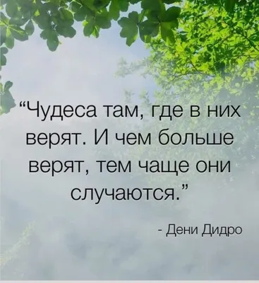 Трафарет для бенто-торта "Чудеса там, где в них верят", 10 см — купить в  интернет-магазине по низкой цене на Яндекс Маркете