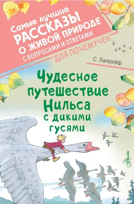 Иллюстрация 55 из 61 для Чудесное путешествие Нильса с дикими гусями -  Сельма Лагерлеф | Лабиринт - книги.